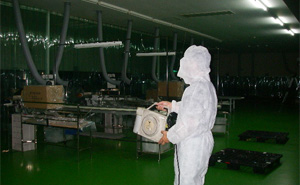 環境微生物管理作業例写真：食品工場内、異物混入の原因となる○○昆虫のモニタリング。